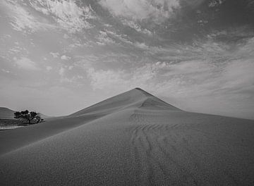 Dune in Sossusvlei in Africa by Patrick Groß