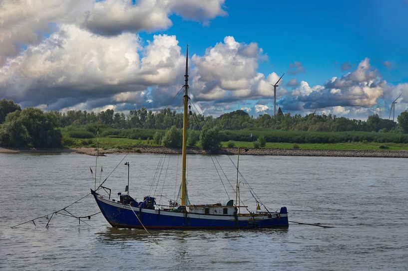 Palingschok van Rees van Edgar Schermaul