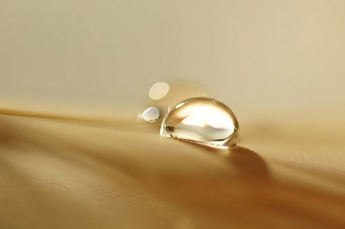 Twinkle sur Carla Mesken-Dijkhoff