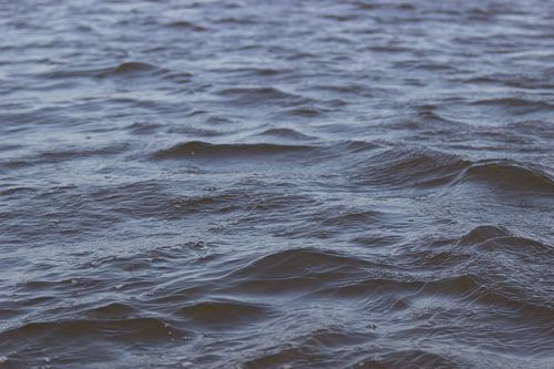 Des vagues de rêve sur Suzan van Pelt