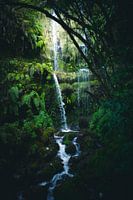 grande chute d'eau dans la jungle de Madeira