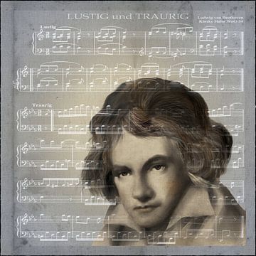 Emoties in muziek - Beethoven van Christine Nöhmeier