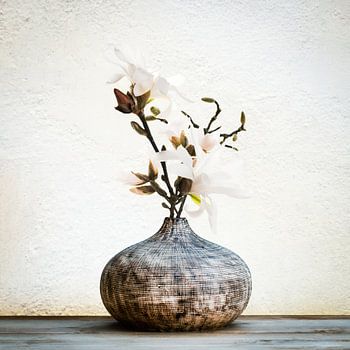 Bolvaas met Magnoliatakken