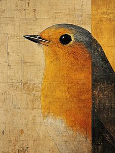Orangefarbener Vogel | Grauer Vogel mit Orange