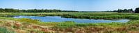 View over natural pond by Werner Lerooy thumbnail