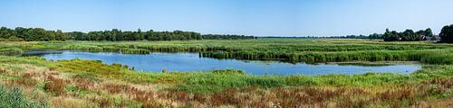 View over natural pond