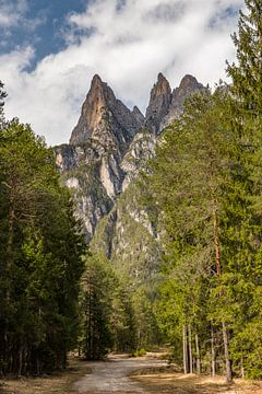 Sentier de randonnée avec vue sur Denis Feiner