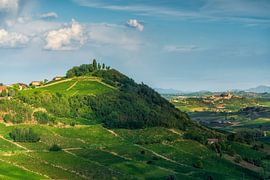 Bricco Lu Hill with Vineyards in Costigliole d'Asti, Monferrato by Stefano Orazzini