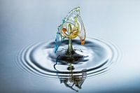 Waterdruppel in drie kleuren