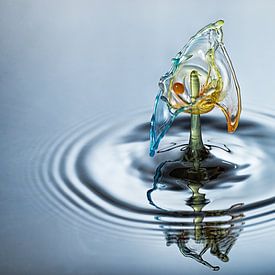 Waterdruppel in drie kleuren van Focco van Eek