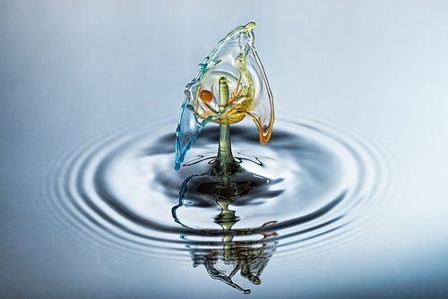 Waterdruppel in drie kleuren