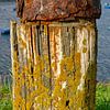 Rost und Flechten von Frans Blok - Fotos, Kunst und weitere Wanddekoration
