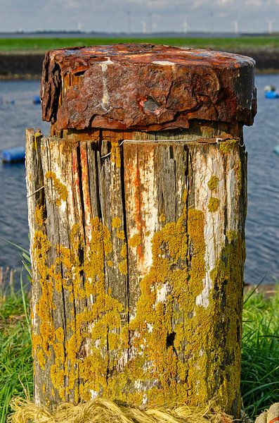 Rust and lichen by Frans Blok - photos, art and other wall decoration