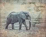 Die Reise des Elefanten von Andrea Haase Miniaturansicht