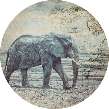 De reis van de olifant van Andrea Haase