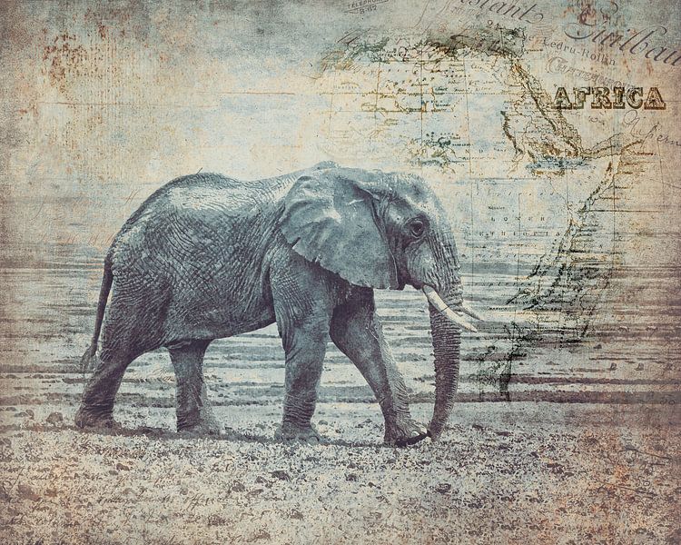 Die Reise des Elefanten von Andrea Haase