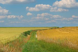 Pays d'Othe