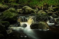 Vallee de la Hoëgne, Ardennen (België) van Carola Schellekens thumbnail