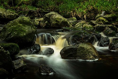 Vallée de la Hoëgne, Ardennes (Belgique)