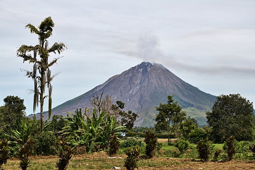 Vruchtbare plantages aan de voet van de Sinabung