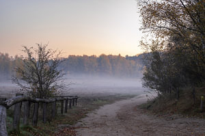 Quintelooijen Teil 15