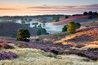Mist en bloeiende heide in het dal van de Posbank
