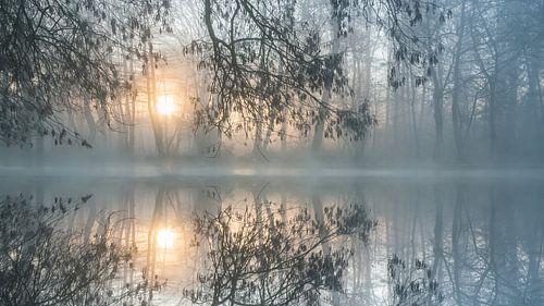 Het ontwaken van de Sorgue 3