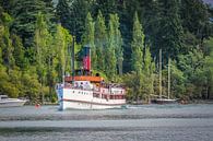 Stoomschip TSS Earnslaw op het Wakatipumeer in Queenstown, Nieuw-Zeeland van Christian Müringer thumbnail