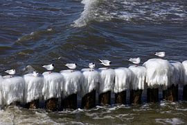 Baltic Sea beach by Thomas Jäger
