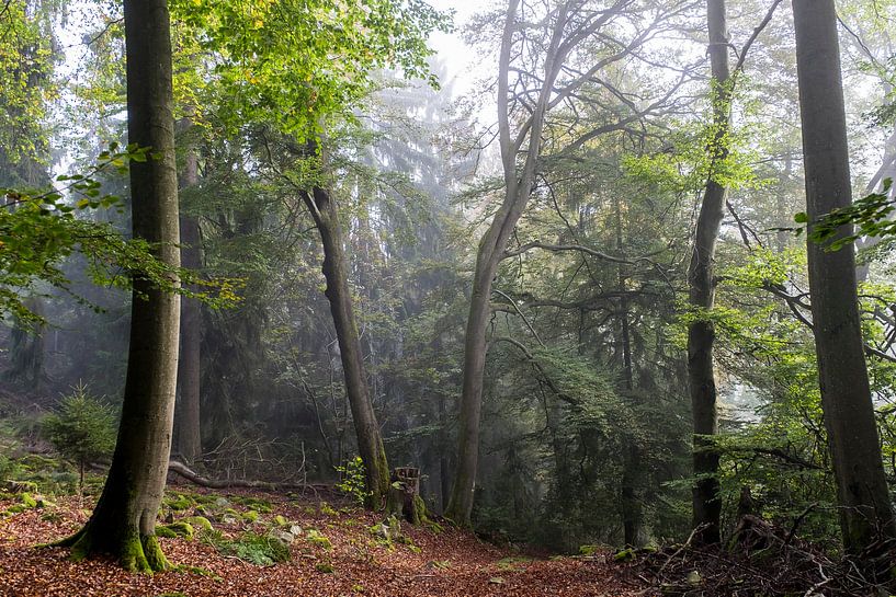 Hunseruck par Maurice Volmeyer