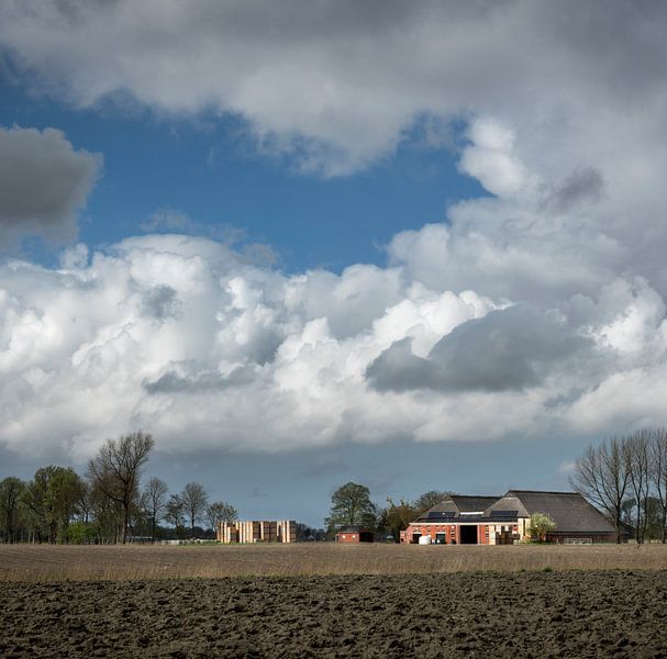 Potato boxes at farm by Bo Scheeringa Photography
