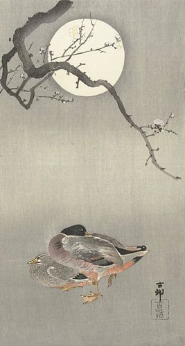 Canards à la pleine lune de Ohara Koson