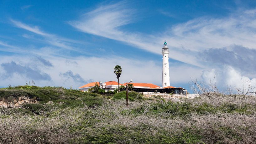 California Lighthouse Aruba von Andre Sonderman