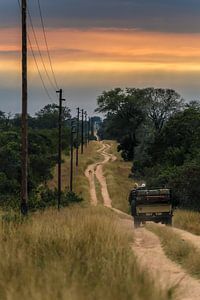 Kruger national park von Eric Hokke