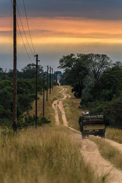 Kruger national park