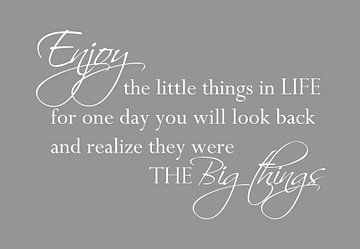 Enjoy the little things - Licht grijs van Sandra Hazes