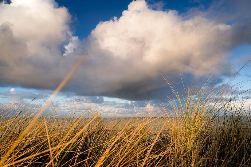 Paysage côtier dans les dunes néerlandaises par Fotografiecor .nl