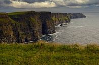 Cliffs of Moher Irland von Babetts Bildergalerie Miniaturansicht