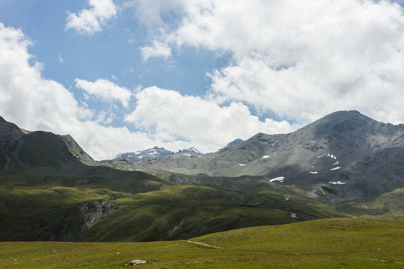 Die Schweiz von Dianthe Forkink