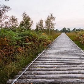 wandelbrug bij natuugebied de grote peel. van Mario Driessen