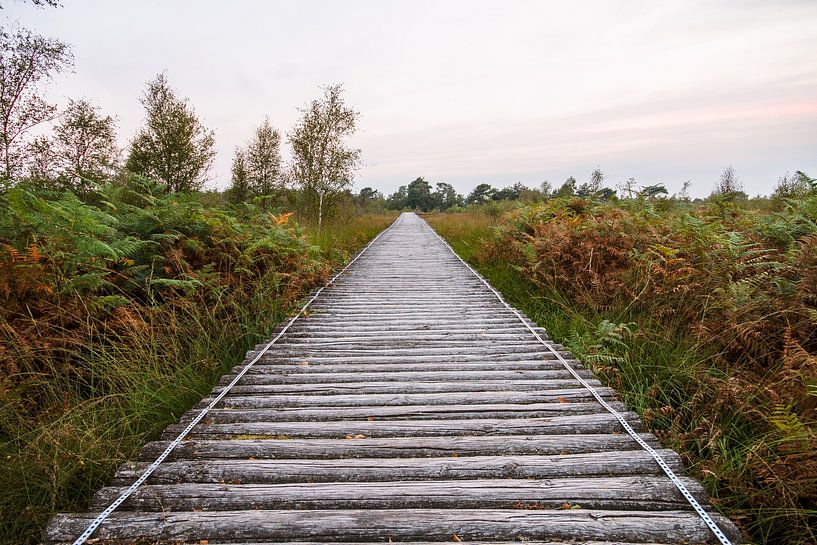 wandelbrug bij natuugebied de grote peel. by Mario Driessen