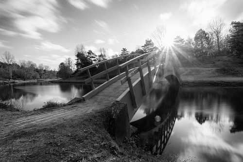 Amsterdamse waterleidingduinen