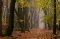 The dancing trees by Arno van der Poel thumbnail