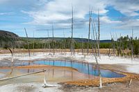 Geyser landscape in Yellowstone NP