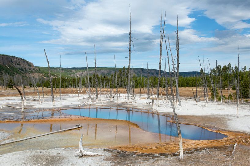 Geysirlandschaft in Yellowstone NP von René Roelofsen
