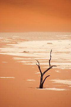 NAMIBIA ... Deadvlei