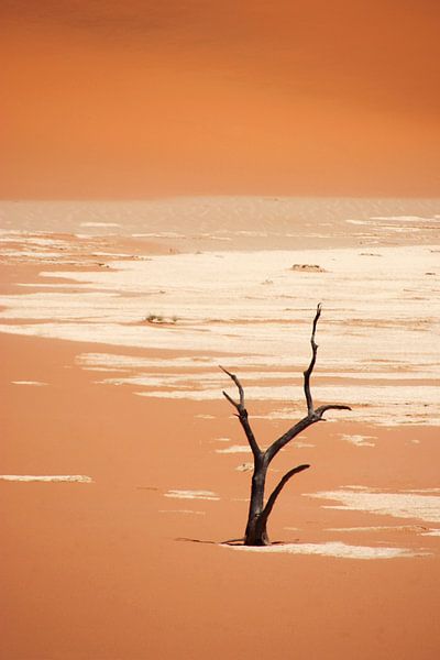 NAMIBIA ... Deadvlei van Meleah Fotografie