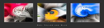 'Red, Yellow and Blue' van Eddy Westdijk