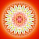 Mandala Health with Flower of Life by Christine Bässler thumbnail