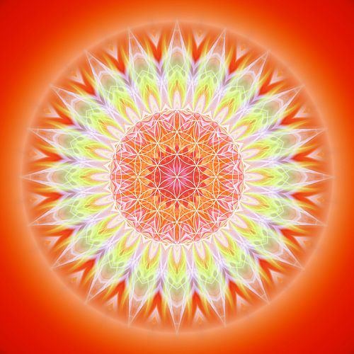 Mandala Health with Flower of Life